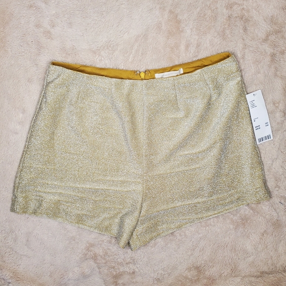 Urban Outfitters Pants - Urban Outfitters Women's Glitter Shorts Medium
